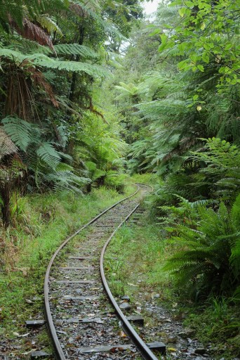 Charleston_Nile_River_Rainforest_Train_tracks